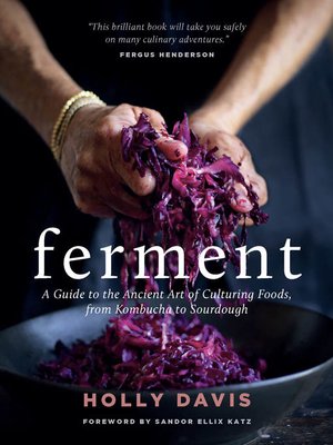 cover image of Ferment